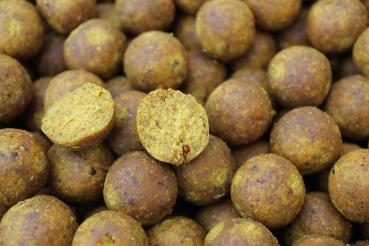 Milky Nut Boilies